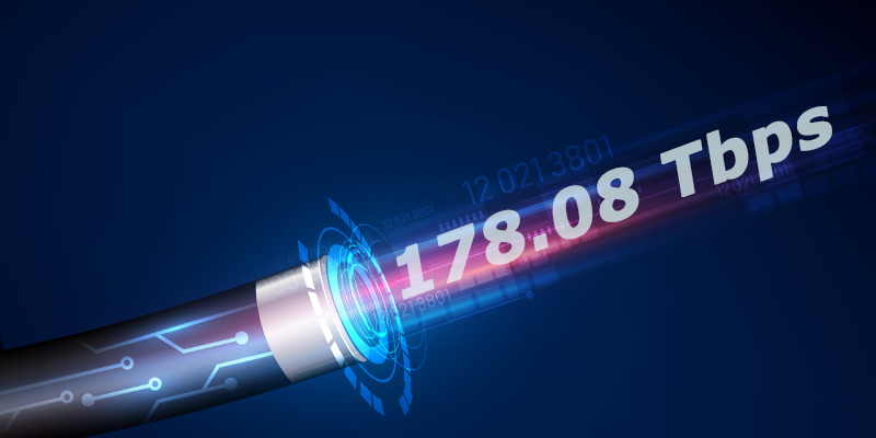 Image of Fibre