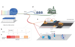 Innovation paves way for driverless cars, drone fleets and significantly faster broadband